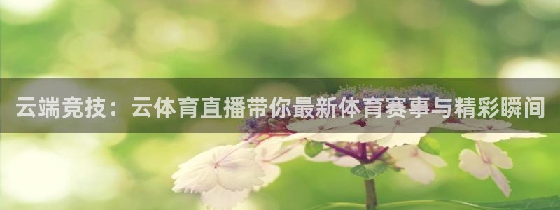 云端竞技：云体育直播带你最新体育赛事与精彩瞬间