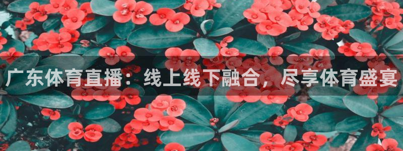 广东体育直播：线上线下融合，尽享体育盛宴