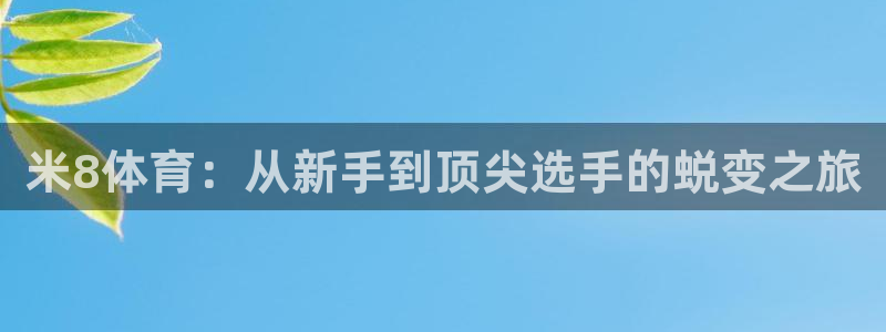 米8体育：从新手到顶尖选手的蜕变之旅